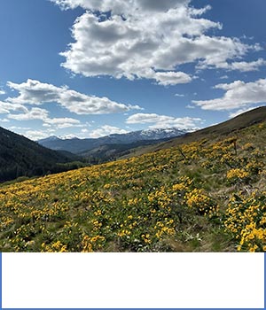 blue-sky-real-estate-winthrop-mazama-twisp-carlton-real-estate-twisp-info